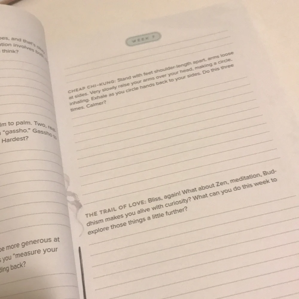 A Year of Zen Guided Journal - Light Gray Cover
